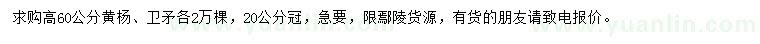 求購(gòu)高60公分黃楊、衛(wèi)矛