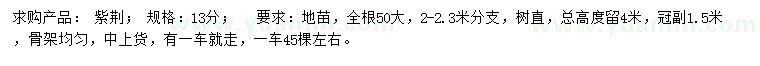 求購13公分紫荊