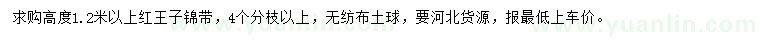求購(gòu)高度1.2米以上紅王子錦帶
