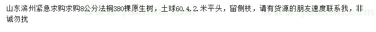 求購(gòu)8公分法桐
