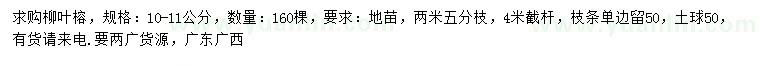 求購10-11公分柳葉榕