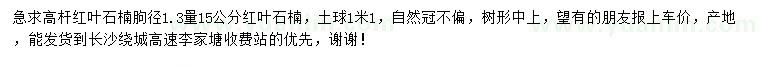 求購1.3米量15公分高桿紅葉石楠