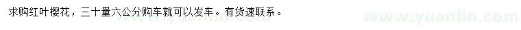 求購(gòu)30量6公分紅葉櫻花