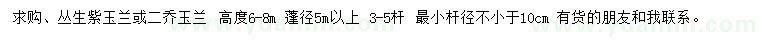 求購高6-8米叢生紫玉蘭、二喬玉蘭