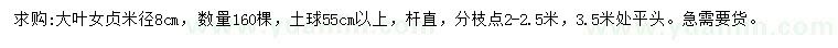 求購米徑8公分大葉女貞