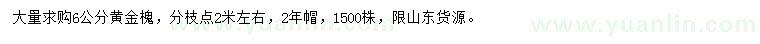 求購(gòu)6公分黃金槐