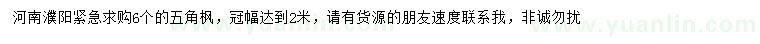 求購6公分五角楓