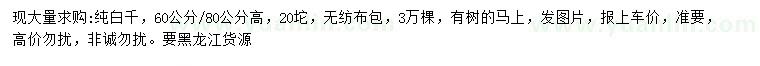 求購高60-80公分純白千