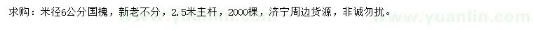 求購米徑6公分國槐