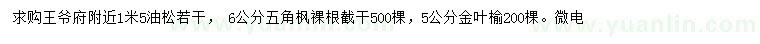 求購油松、五角楓、金葉榆