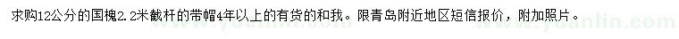 求購12公分國槐