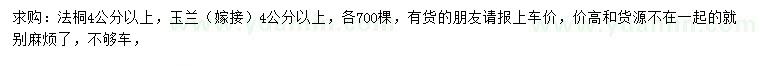 求購4公分以上法桐、玉蘭
