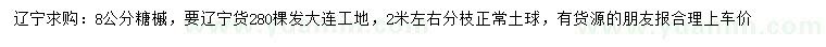 求購8公分糖槭
