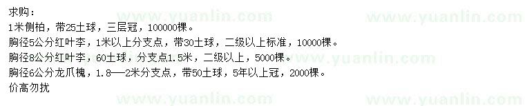 求購(gòu)側(cè)柏、紅葉李、龍爪槐