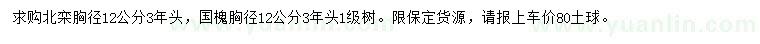 求購胸徑12公分北欒、國槐