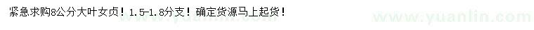 求購(gòu)8公分大葉女貞