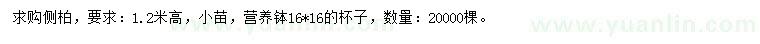 求購高1.2米側(cè)柏