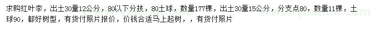 求購出土30量12、15公分紅葉李