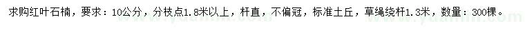 求購10公分紅葉石楠