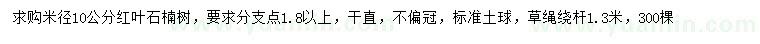 求購米徑10公分紅葉石楠