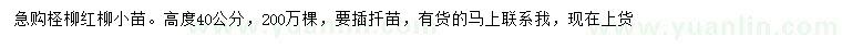 求購高40公分檉柳、紅柳小苗
