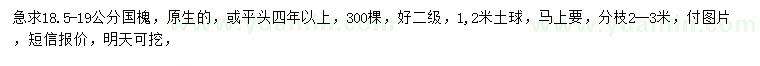 求購(gòu)18.5-19公分國(guó)槐
