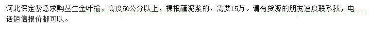 求購高50公分以上叢生金葉榆