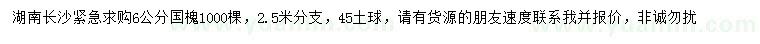 求購6公分國槐
