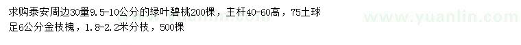求購30量9.5-10公分綠葉碧桃、6公分金枝槐