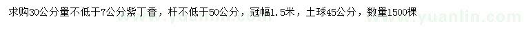 求購30量7公分紫丁香