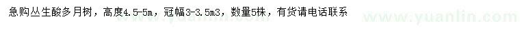 求購(gòu)高4.5-5米叢生酸多月樹