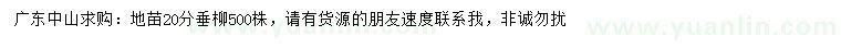 求購20公分垂柳