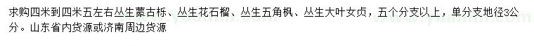求購叢生蒙古櫟、叢生花石榴、叢生五角楓等