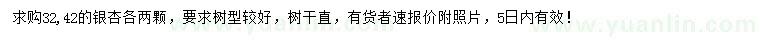 求購(gòu)32、42公分實(shí)生銀杏