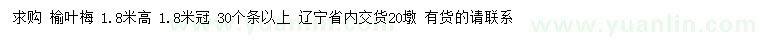 求購高1.8米榆葉梅