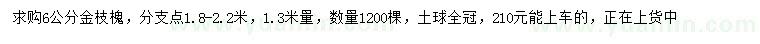 求購6公分金枝槐