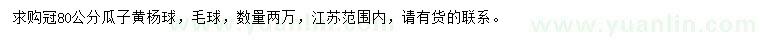 求購冠80公分瓜子黃楊球