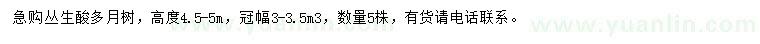 求購高度4.5-5米叢生酸多月樹(shù)