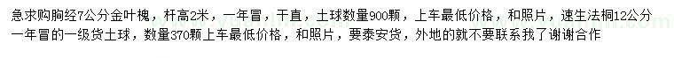 求購胸徑7公分金葉槐、12公分速生法桐