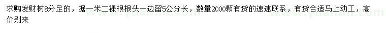 求購(gòu)8公分發(fā)財(cái)樹