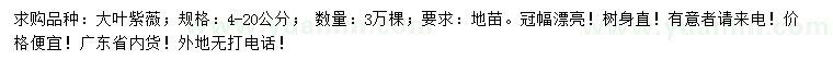 求購4-20公分大葉紫薇