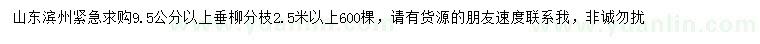 求購9.5公分以上垂柳