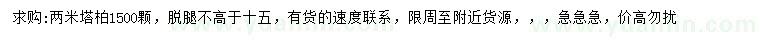 求購高2米塔柏