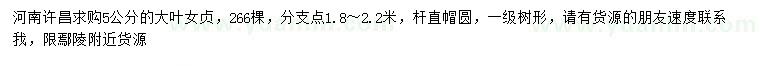 求購5公分大葉女貞