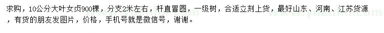 求購(gòu)10公分大葉女貞