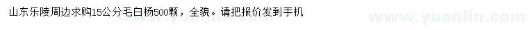 求購15公分毛白楊