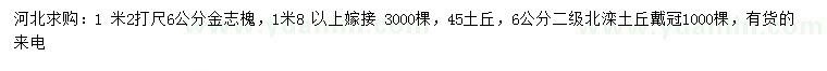 求購1.2米量6公分金枝槐