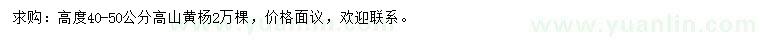 求購高40-50公分高山黃楊