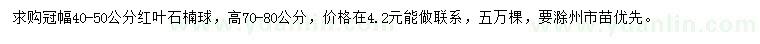 求購冠幅40-50公分紅葉石楠球