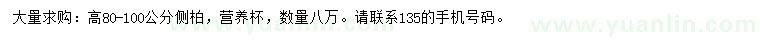 求購80-100公分側(cè)柏
